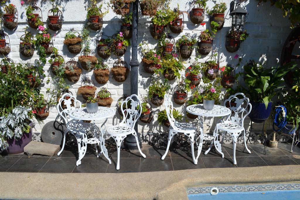 Hotel Vendimia Boutique ซานตาครูซ ภายนอก รูปภาพ